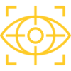 vision